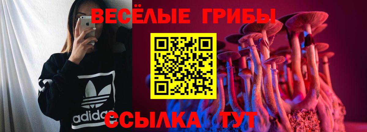Галлюциногенные грибы GOLDEN TEACHER Кашира